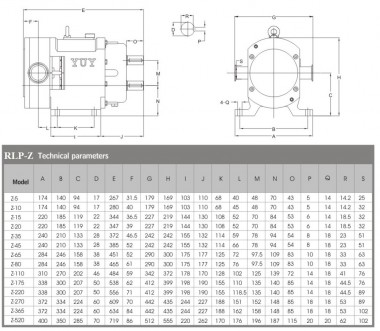 Насос для йогурта RLP-Z-5L, AISI 304, 0,55 kW 380V 50HZ 3P Lobe pump — SP-Teploobmen
