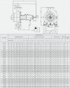 Hot oil pump BTKF-K 65-160 (3000) фото 10 — SP-Teploobmen