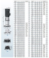 Mehrstufige Pumpe für Kessel BVS 1-15, 0,75 kW, AISI 304 фото 6 — SP-Teploobmen