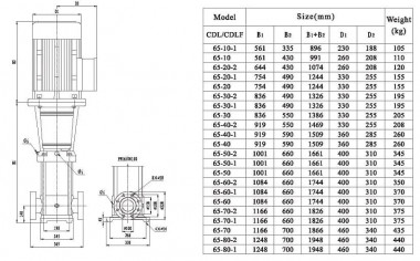 Multistage pump CDLF 65-30-1, AISI 316 — SP-Teploobmen